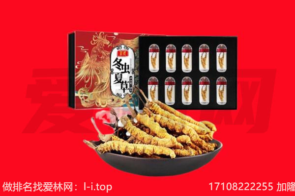 西湖区回收虫草.jpg